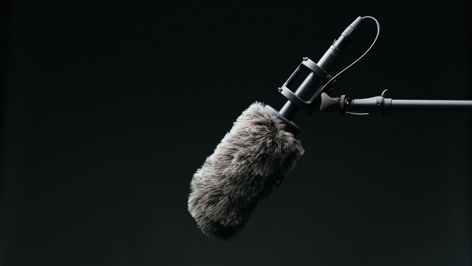 microphone on boom